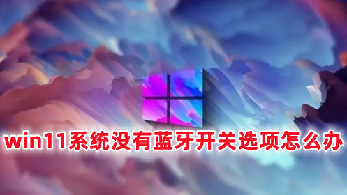 win11系统没有蓝牙开关选项怎么办 win11蓝牙怎么打开