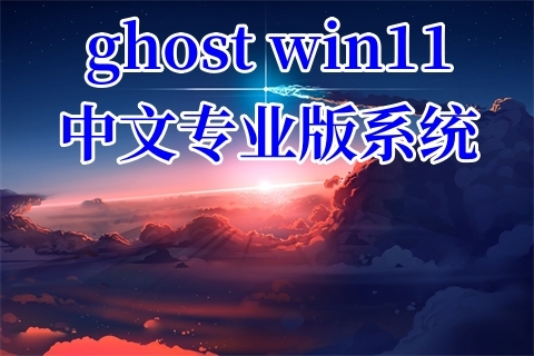 ghost win11中文专业版系统