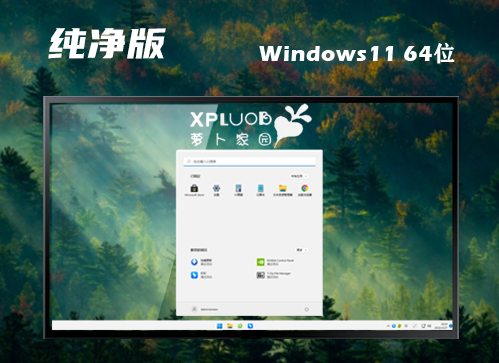 win11正版系统官网版下载 win11纯净精简最新版下载