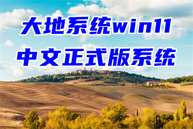 大地系统win11中文正式版系统