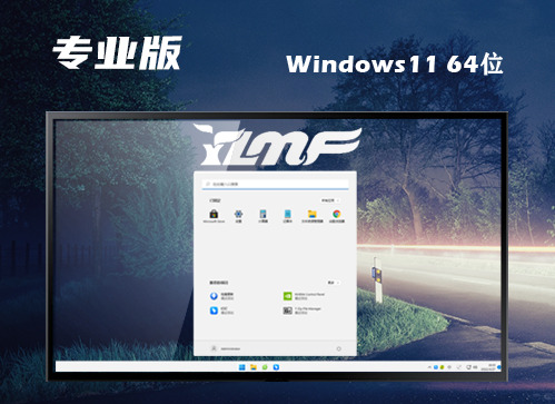 win11专业版下载官网原版 win11专业正式版镜像文件下载