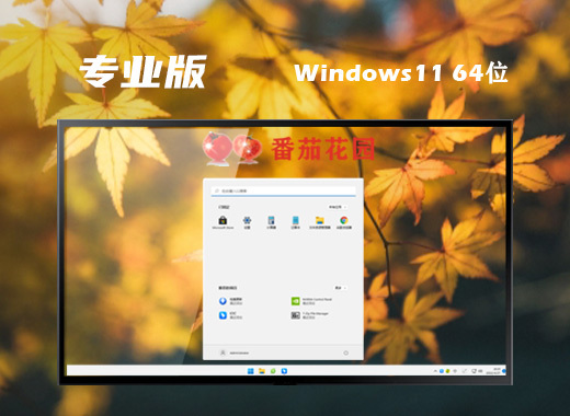 ghost win11官方专业版系统下载 win11系统纯净专业版下载