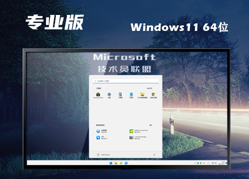 win11最新专业版下载 win11专业正式中文版下载