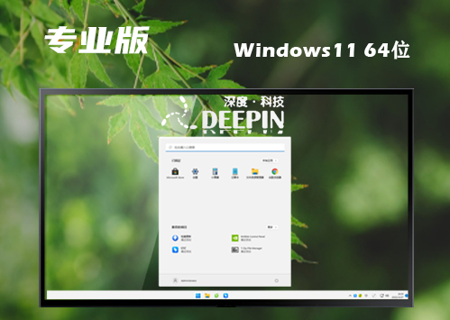 win11专业版镜像官网版下载 win11专业原版正式版下载