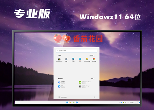 win11最新专业版下载 win11专业正式中文版下载