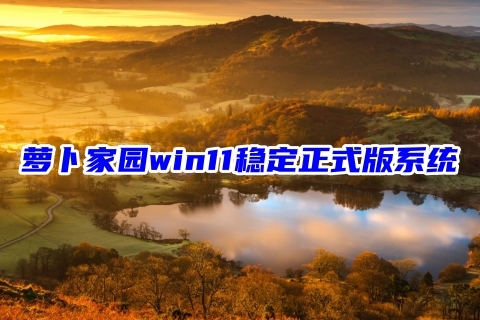 萝卜家园win11稳定正式版系统