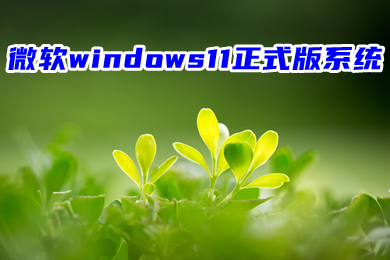 微软windows11正式版系统下载 最新win11系统镜像文件下载