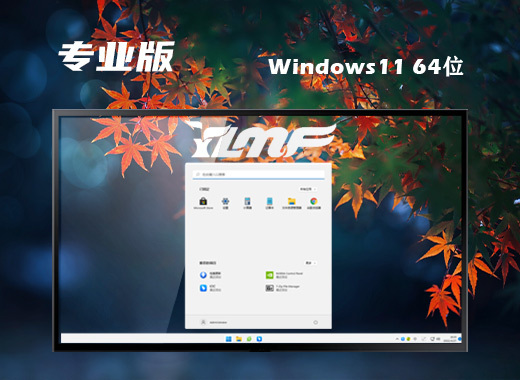 雨林木风win11微软专业版系统下载 win11官方iso镜像系统下载