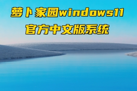 萝卜家园windows11官方中文版系统