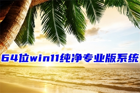 64位win11纯净专业版系统