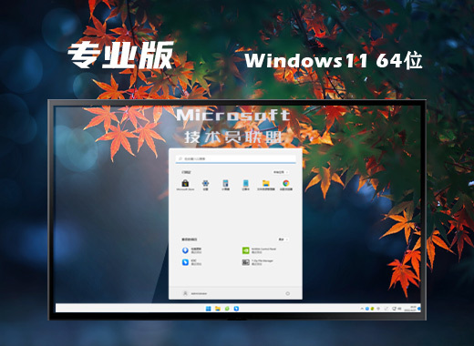 技术员联盟win11系统官方专业版下载 windows11稳定免费版系统镜像文件下载