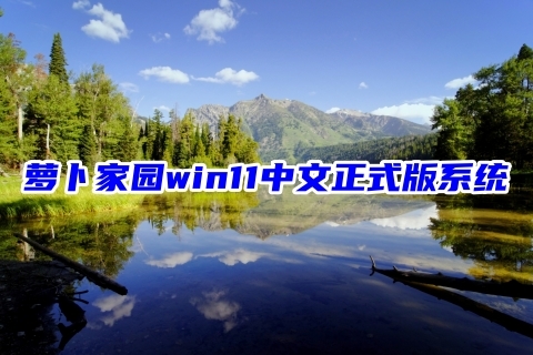 萝卜家园win11中文正式版系统