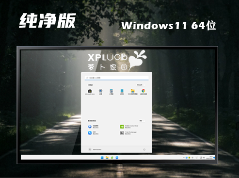 windows11简体中文版系统下载 windows11正式官网版下载