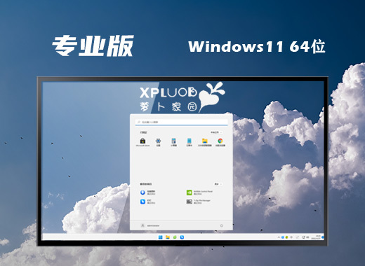 萝卜家园win11稳定专业版系统下载 win11官网中文版系统下载