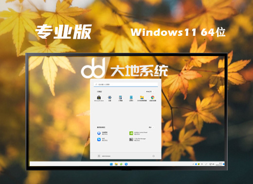 大地系统win11最新专业版系统下载 windows11系统ghost免费镜像文件下载