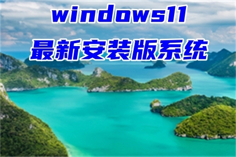 windows11最新安装版系统