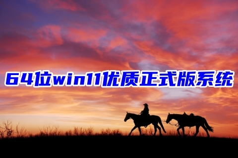 64位win11优质正式版系统