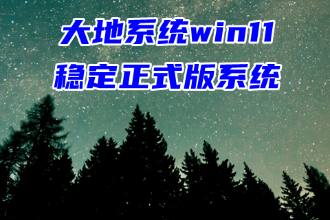 大地系统win11稳定正式版系统