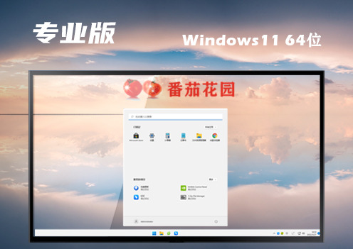 win11专业版下载官网原版 win11专业正式版镜像文件下载