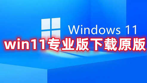 win11专业版下载原版 win11专业官方版镜像文件下载