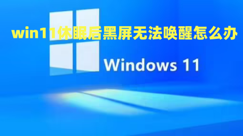 win11休眠后黑屏无法唤醒怎么办 win11睡眠无法唤醒黑屏解决方法