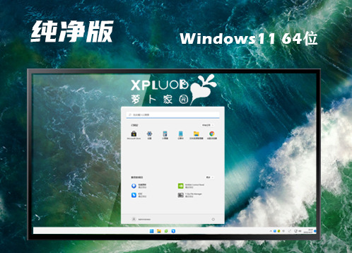 win11纯净版镜像下载官网 win11纯净正式原版下载