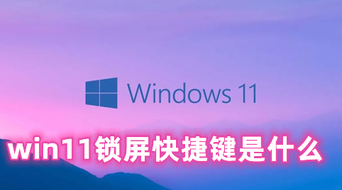 win11锁屏快捷键是什么 win11快速锁屏的方法分享