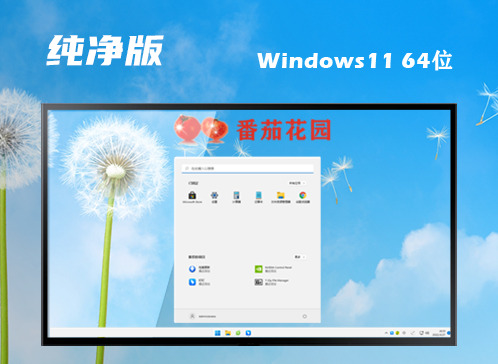 win11官方纯净版系统下载 win11最新正式原版下载