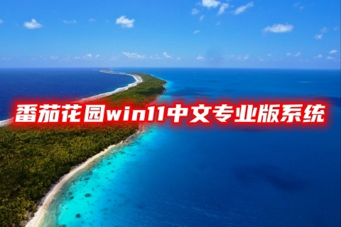 番茄花园win11中文专业版系统下载 windows11系统64位最新镜像文件下载