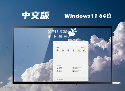 萝卜家园64位win11精简纯净版系统下载 windows11官方安装版系统镜像文件下载