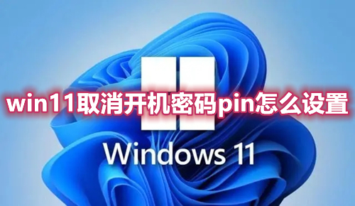 win11取消开机密码pin怎么设置 win11不能删除开机pin密码怎么办