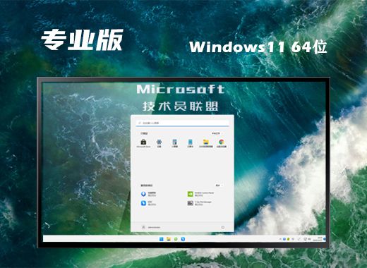 win11精简版下载网址合集 win11精简版tiny11下载并安装