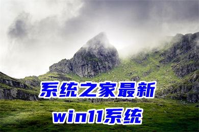 系统之家最新win11系统