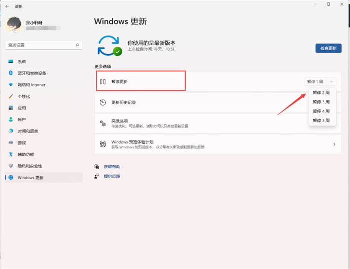 win11怎么关闭自动更新 win11永久禁用自动更新方法介绍