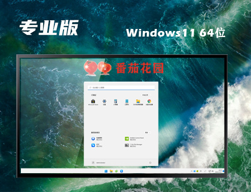 win11中文专业版下载 win11专业官方正式版下载