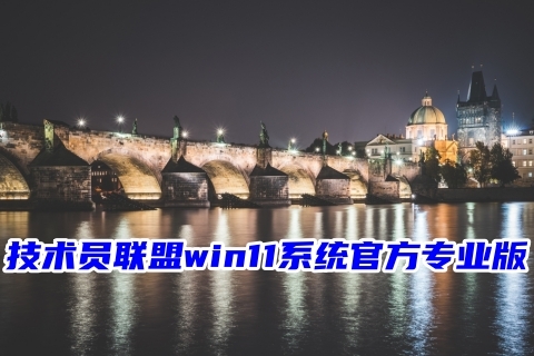 技术员联盟win11系统官方专业版