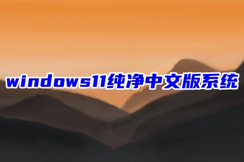 windows11纯净中文版系统