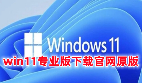 win11专业版下载官网原版 win11专业正式版镜像文件下载