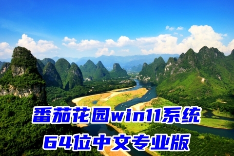 番茄花园win11系统64位中文专业版