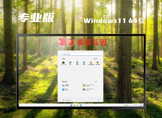 win11专业版下载官网地址 win11官方下载正式版系统