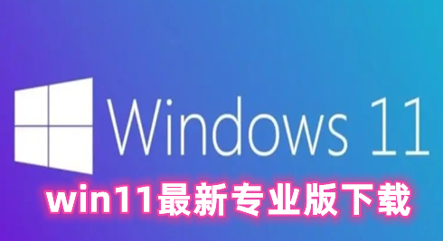 win11最新专业版下载 win11专业正式中文版下载