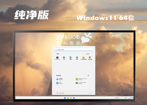 win11纯净版下载官网 win11正式中文版镜像下载