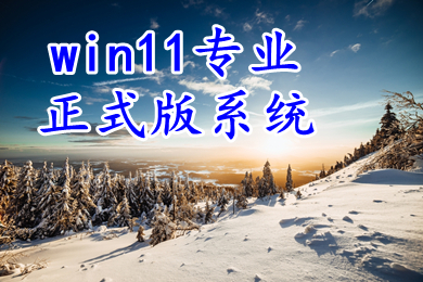 win11专业正式版系统