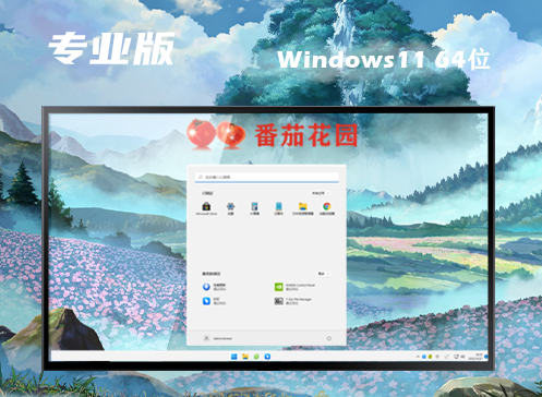 win11专业版下载官网 win11专业正式原版系统下载