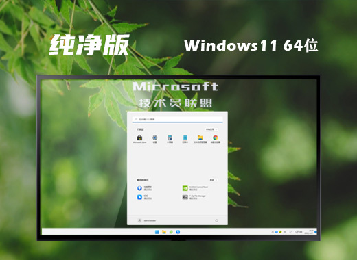 技术员联盟win11官方纯净版系统下载 windows11精简安装版系统下载