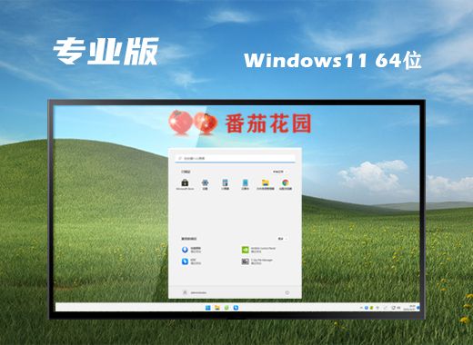 win11精简版下载网址合集 win11精简版tiny11下载并安装