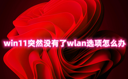 win11突然没有了wlan选项怎么办 win11无线网络设置看不到wlan的解决办法