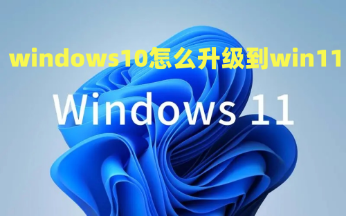 windows10怎么升级到win11 win10怎么更新到win11