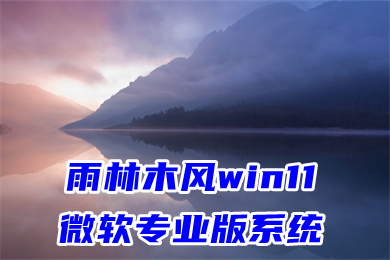 雨林木风win11微软专业版系统