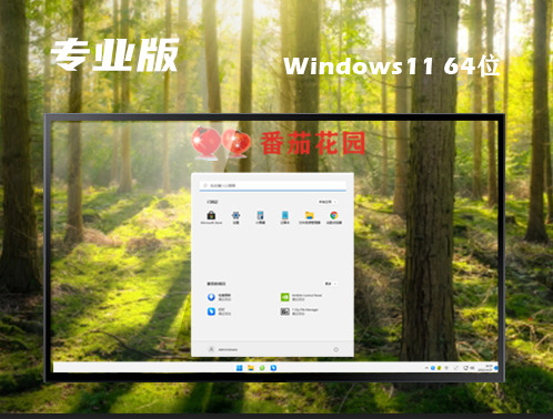 windows11专业版下载官网 windows11专业中文正版下载